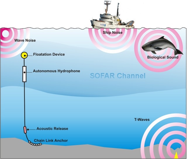 Open-water monitoring using a hydrophone.