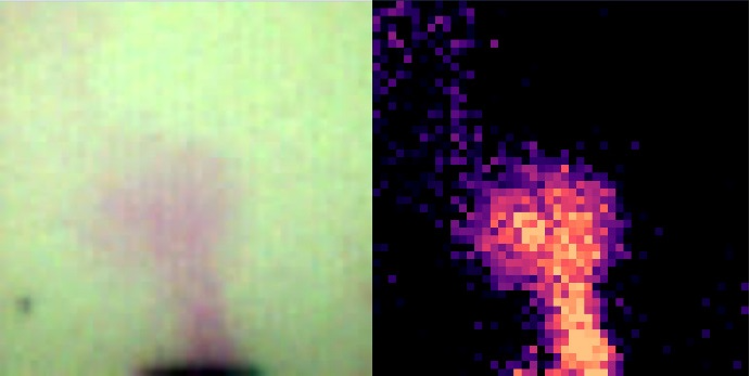 Visualization of NH3 vapors coming out from a bottle: left composite image (left), concentration map (right)