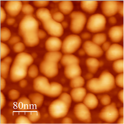 Molecularly Imprinted Gold Nanorods.