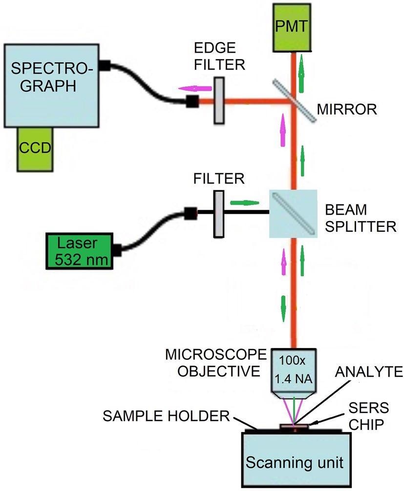 Schematic of the setup for the acquisition of SERS spectra.