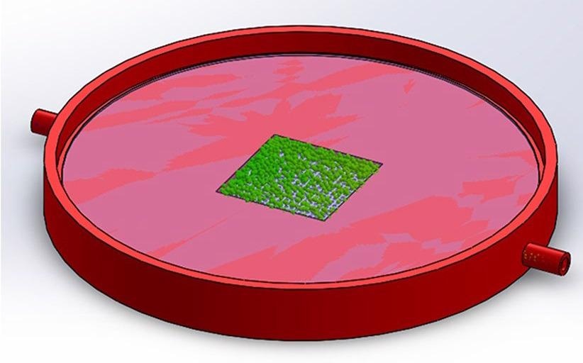 Computer 3D model of SERS membrane sensor.
