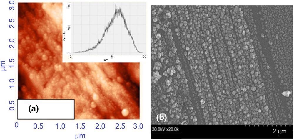 Images of AFM scanning area of the silver SERS (a) and SEM image (b).