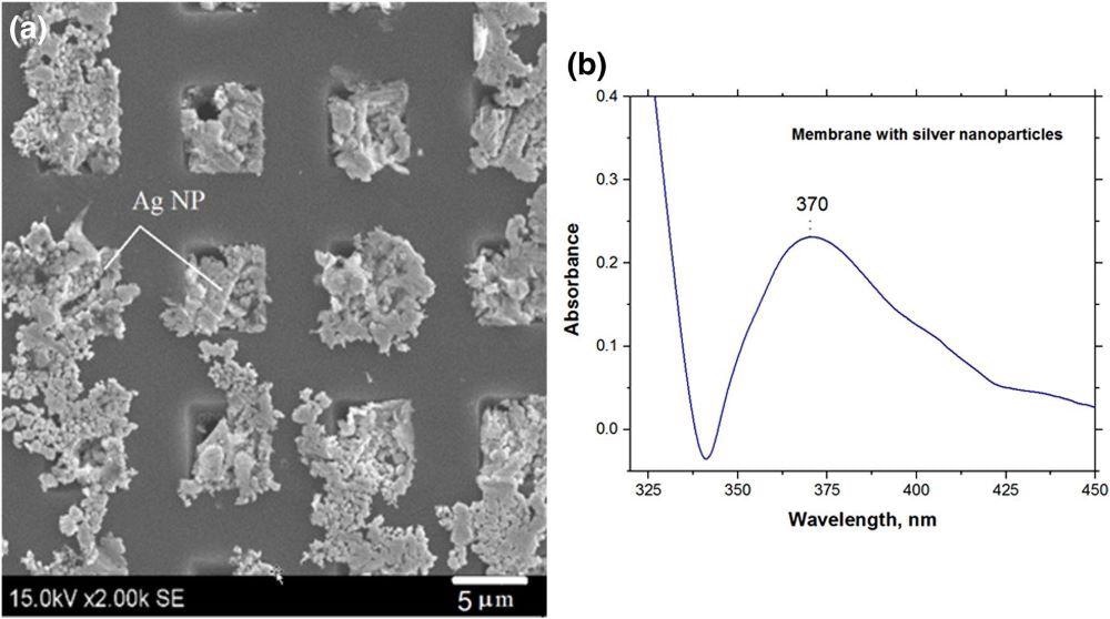 SEM images of Si membranes decorated with silver nanoparticles (a) and UV–Vis spectra of the membrane with silver nanoparticles (b).