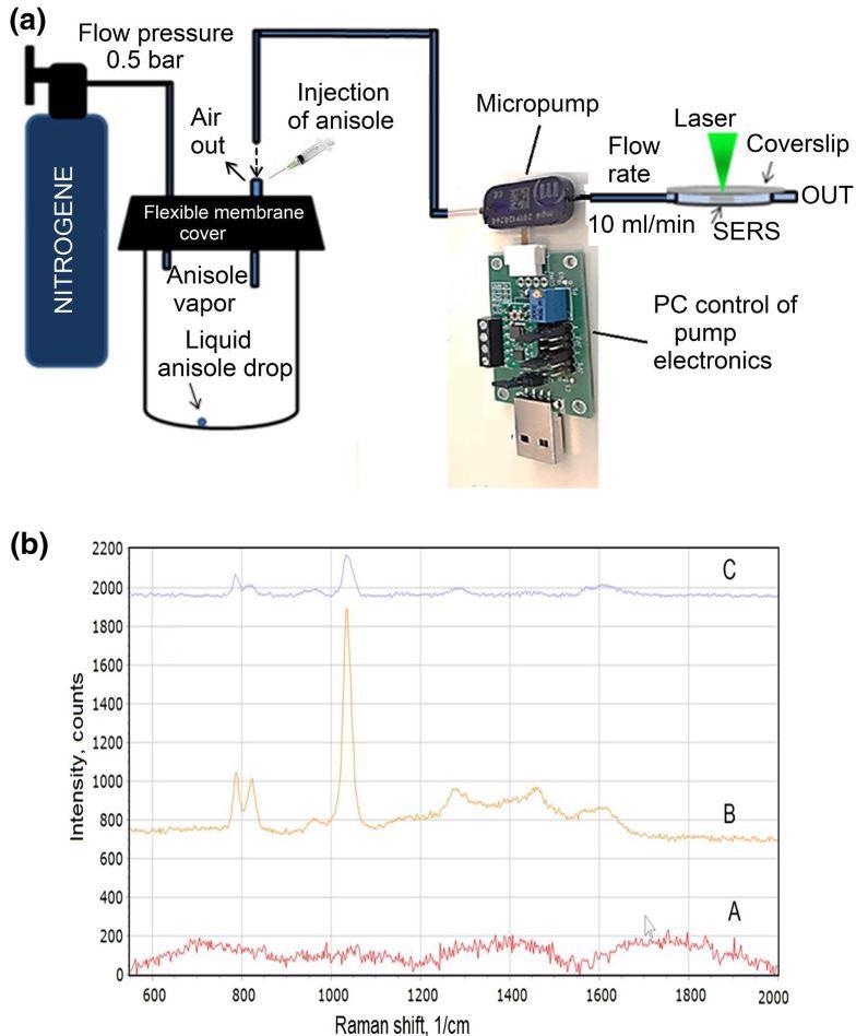 Experimental setup of the anisole vapor pumping and Raman scattering measuring platform (a); The SERS spectra of the anisole after the background removal (b): blank Si membrane decorated with silver nanoparticles (A); anisole vapor with the concentration of 10 ppmV. The spectra acquisition time: 20 seconds, the power of the laser on the sample: 0.17 mW (B); anisole vapor with the concentration of 0.5 ppbV. The spectra acquisition time: 60 seconds, the power of the laser on the sample: 0.17 mW (C).