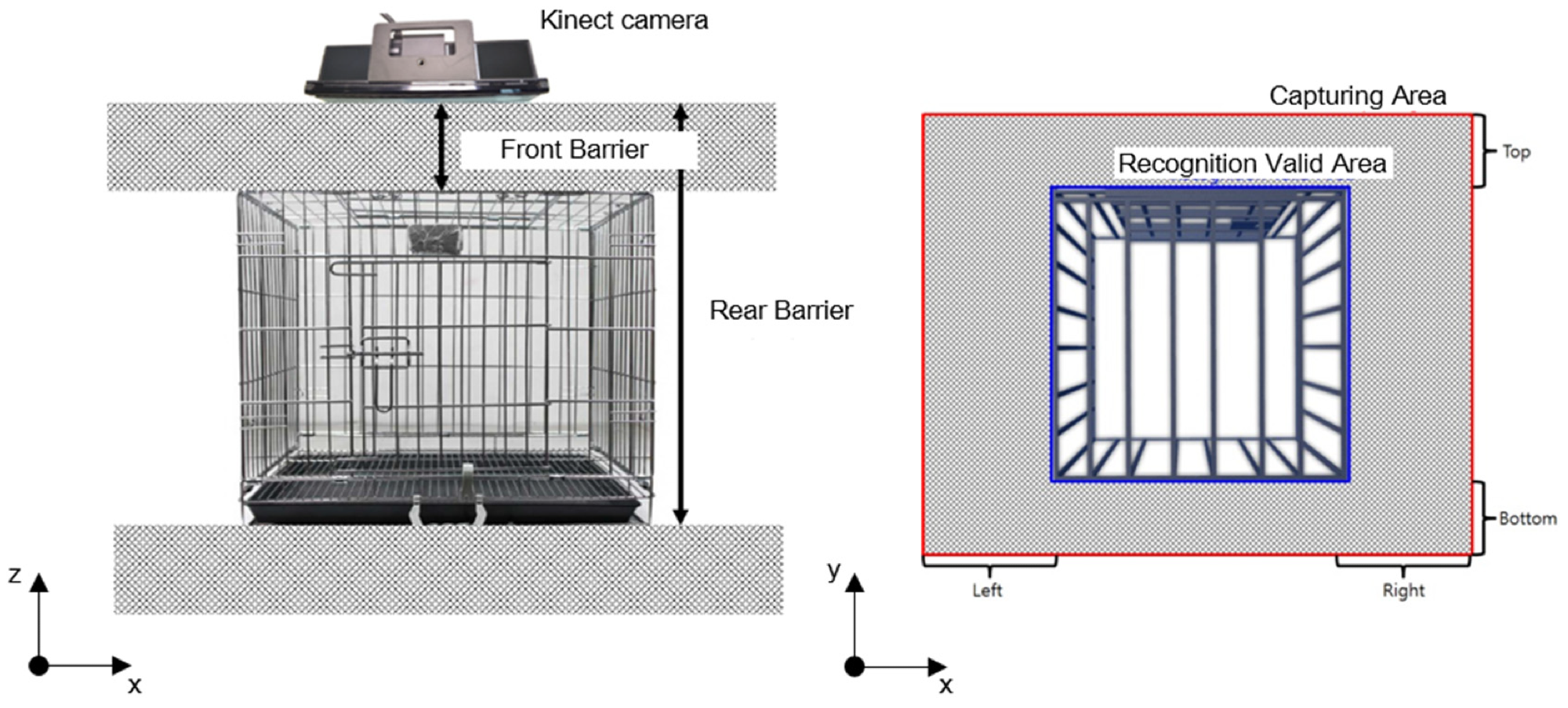 A three-dimensional R.O.I selection inside a cage.