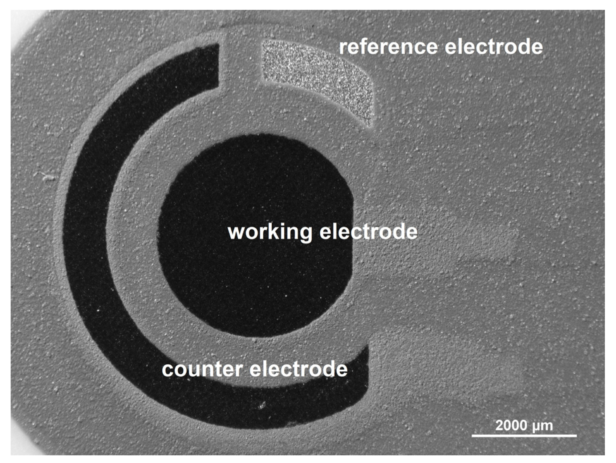 Optical microscopic image of screen-printed carbon electrode (SPCE, Metrohm DropSens, Oviedo, Spain).