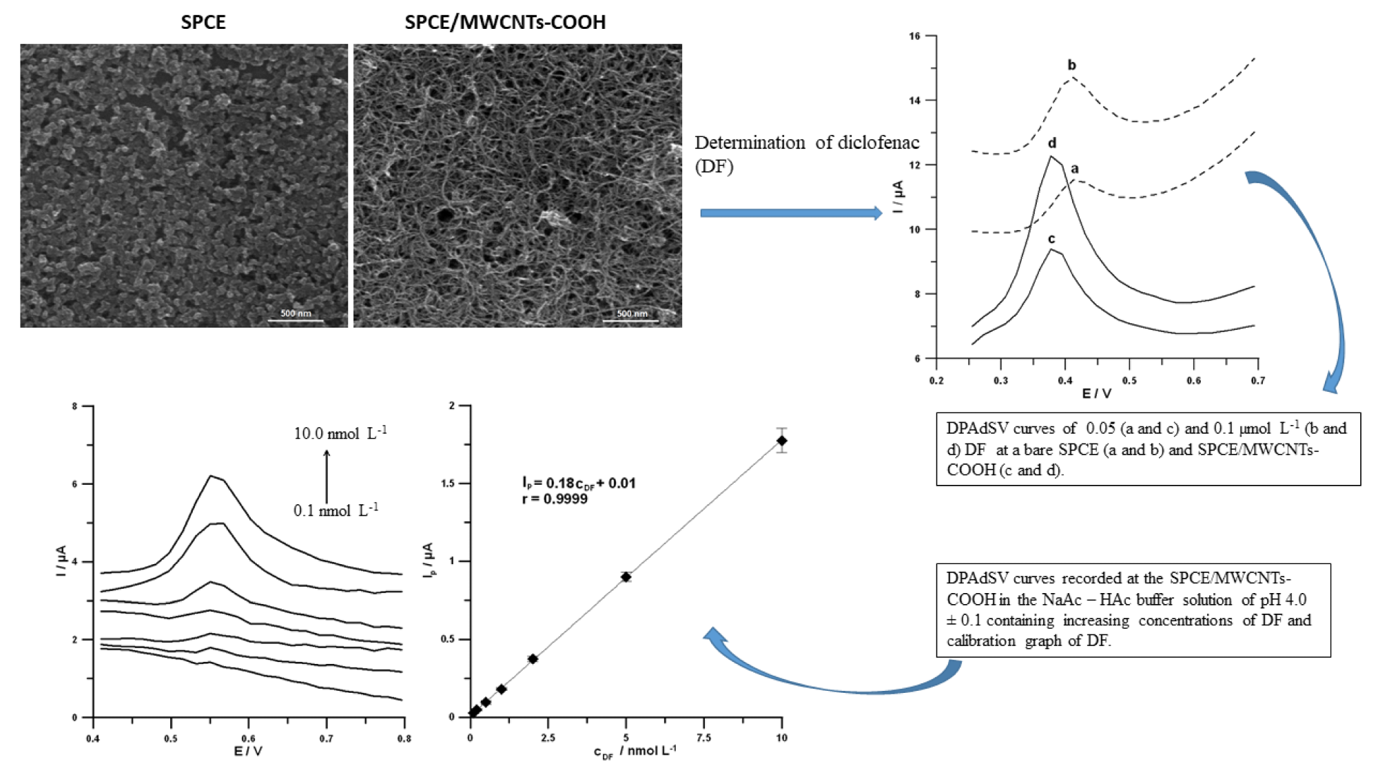 SEM images and DPAdSV curves recorded at the SPCE and SPCE/MWCNTs-COOH. DPAdSV curves recorded at the surface of the SPCE/MWCNTs-COOH in solution containing increasing concentrations of DF: 0.1, 0.2, 0.5, 1.0, 2.0, 5.0 and 10.0 nmol L-1, and calibration graph of DF.