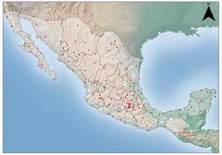 Discover the Many Weather Systems of Mexico