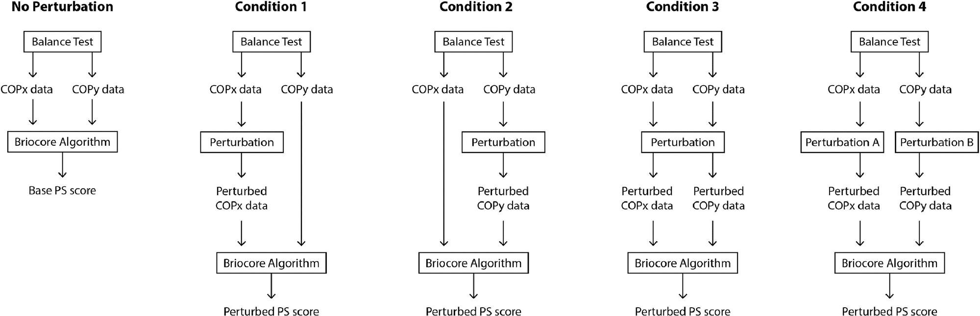 Visualization of PS score perturbation process compared to base PS score calculation process (“No Perturbation” condition).