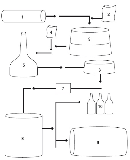 Beer Brewing Process