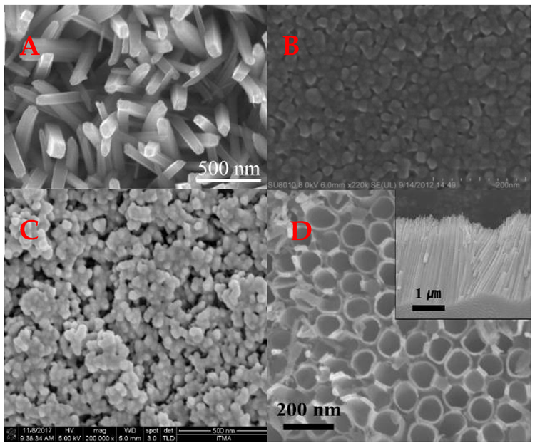 Different morphology TiO2 structures used in design of a gas sensors. (A) Nanorods, (B) thin film, (C) nanoparticles, (D) nanotubes.
