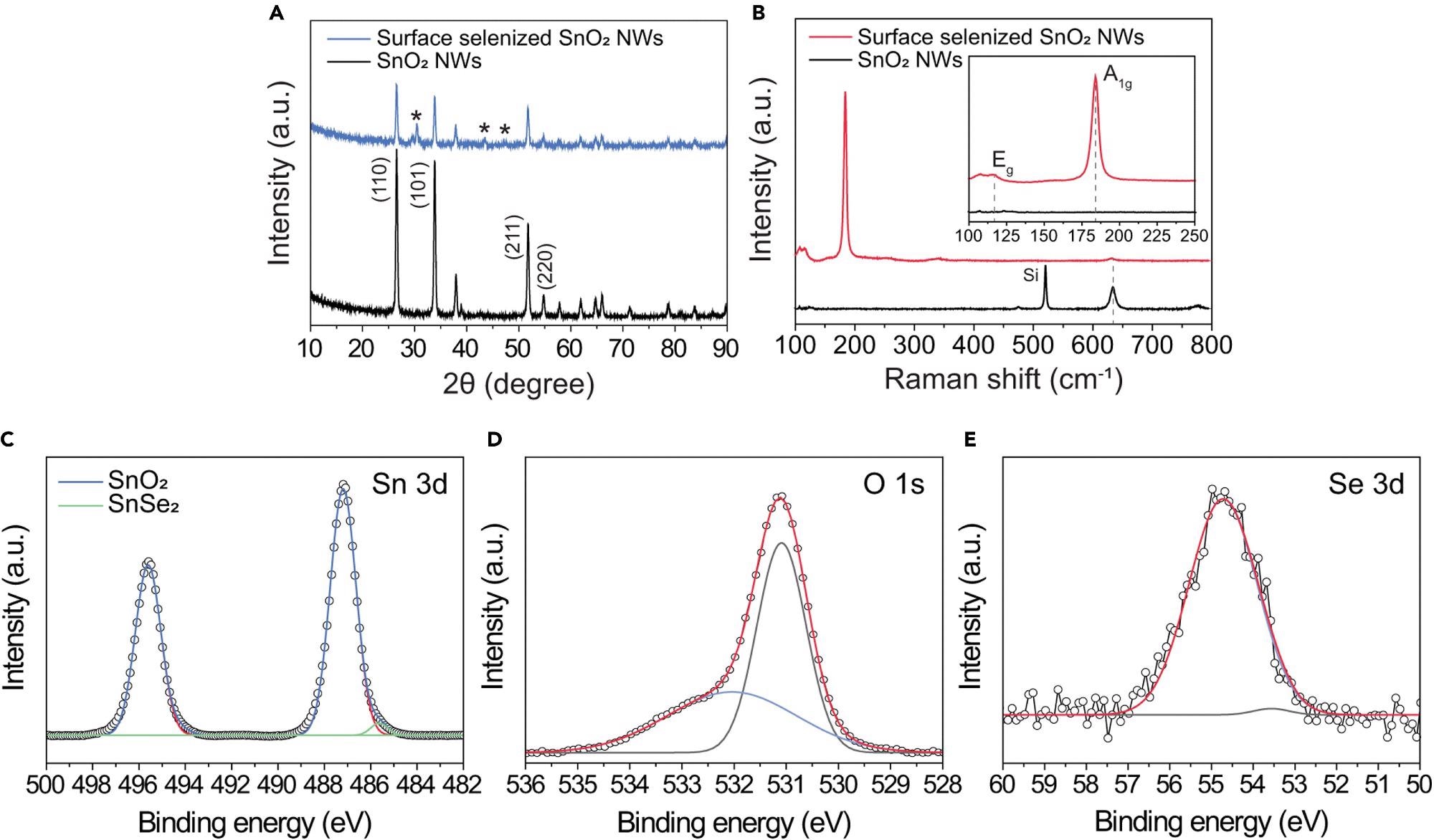 Structural and chemical characterizations of 1D SnO2–2D SnSe2 hybrid nanowire network (A) XRD spectra of pristine SnO2 nanowire (top) and SnO2 nanowires with ultrathin SnSe2 (bottom). (B) Raman spectra of SnO2 nanowires before (top) and after (bottom) selenization process. The inset shows the magnified Raman spectra in the range of 100–250 cm-1, in which two characteristic Raman peaks of 2D SnSe2 indicate the successful formation of ultrathin SnSe2 layer on the surface of the SnO2 nanowires. (C–E) XPS spectra of (C) Sn 3d, (D) O 1s, and (E) Se 3d for the1D SnO2–2D SnSe2 heterostructure.