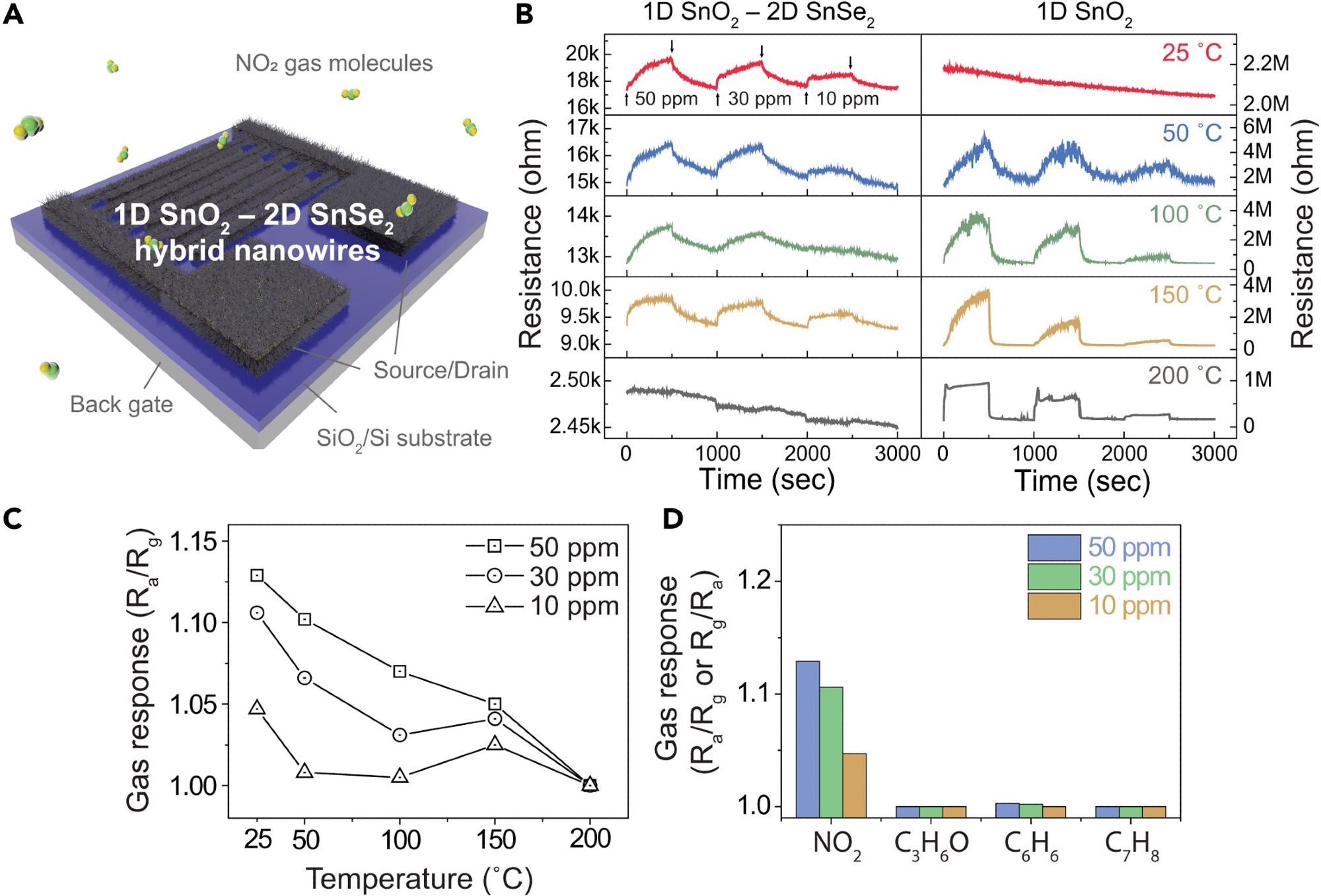 Gas sensing characteristics of 1D SnO2–2D SnSe2 hybrid nanowire network-based gas sensor forNO2 gas(A) Illustration of NO2 gas sensor based on SnO2 nanowires with ultrathin SnSe2.(B) Dynamic resistance curves of pristine SnO2 nanowires (right) and 1D SnO2–2D SnSe2 heterostructure (left)-based gas sensor to different NO2 gas concentrations of 10–50 ppm at different temperatures (room temperature – 200 °C).(C) Comparative analysis of NO2 gas sensitivity at different operating temperatures and gas concentrations of 10–50 ppm.(D) Comparison of gas sensing response of the 1D SnO2 nanowire–2D SnSe2 heterostructure-based gas sensor against various gases (NO2,C3H6O, C6H6,and C7H8) at different gas concentration from 10 to 50 ppm.