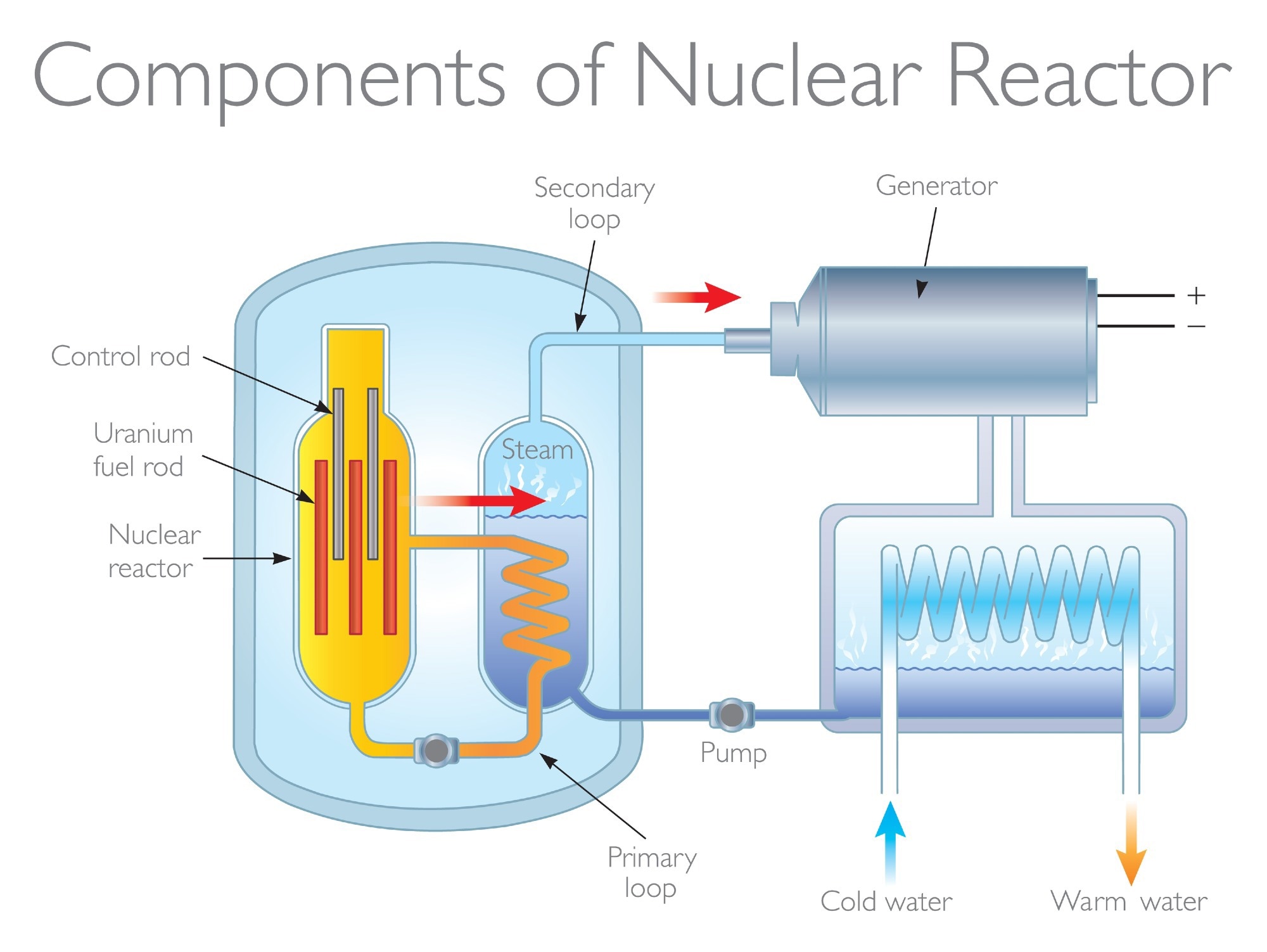 Components of a Nuclear Reactor