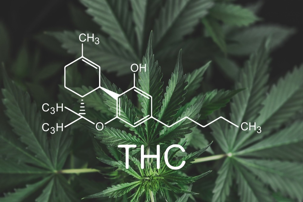 Electrochemical Sensors to Trace THC