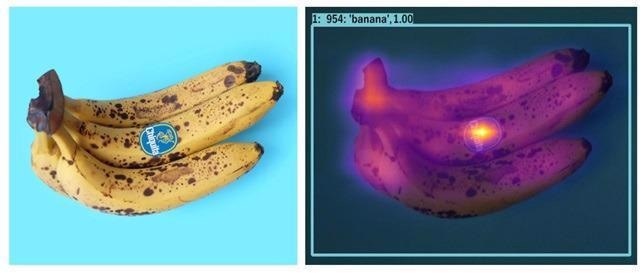 This heat map shows a classic data bias. The heat map visualizes a high attention on the Chiquita label of the banana and thus a good example of a data bias. Through false or under representative training images of bananas, the CNN used has obviously learned that this Chiquita label always suggests a banana.