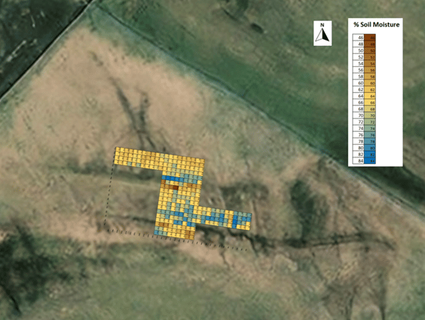 Soil moisture grid measurements on Widdybank Meadow.