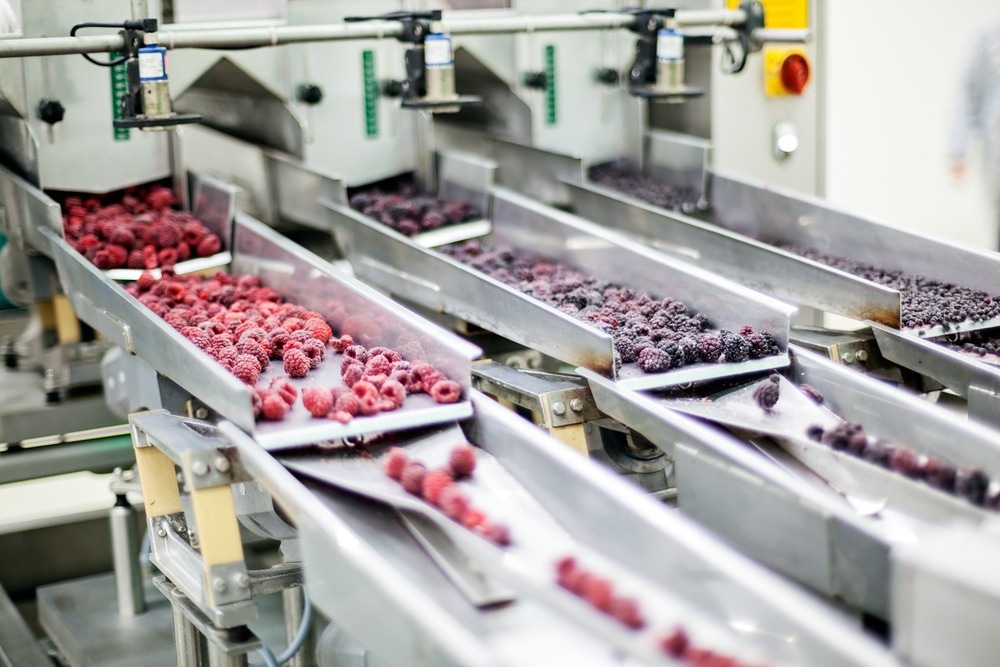 Using pH Sensors in Food Processing and Preservation