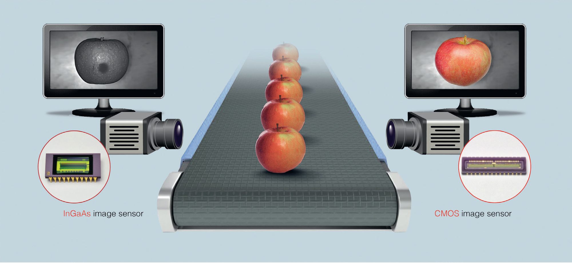 As apples travel down the conveyor belt, they are scanned using InGaAs and CMOS cameras. The InGaAs camera will show defects beginning to form under the skin that a human eye cannot see; the CMOS camera will show visible defects.