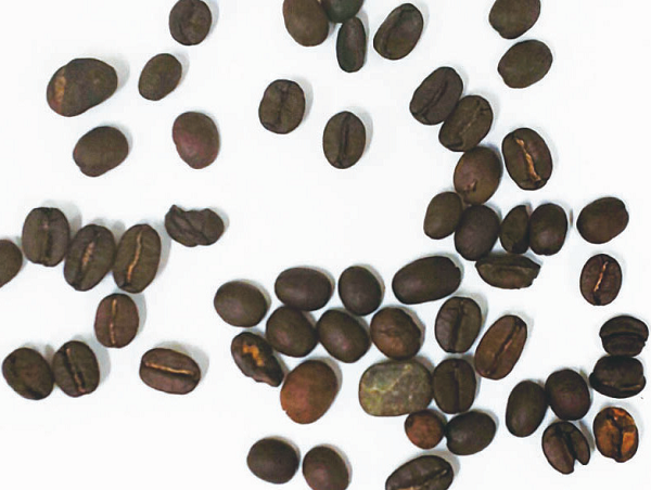 Difficulty detecting the stone among coffee beans with visible imaging.