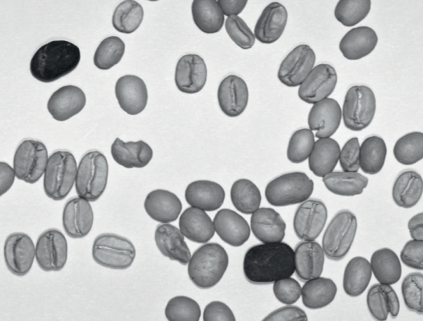 Clear identification of stone among coffee beans with C12741–03 InGaAs camera.