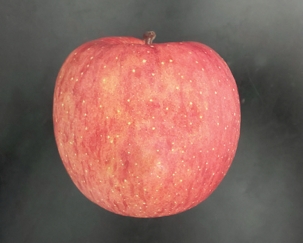 Visible wavelength image of an apple.