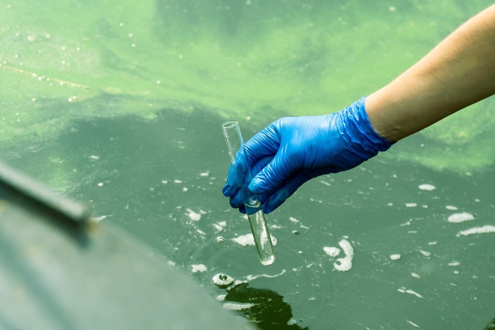 A gloved hand takes water into a test tube from a city reservoir. Urban waste water. Sampling from open water. Scientist or biologist takes a sample of water into a test tube.
