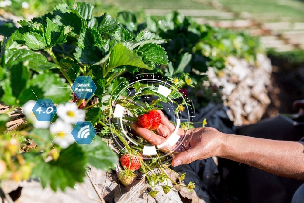 IoT, Internet of Things Modern agriculture smart farming system concept.