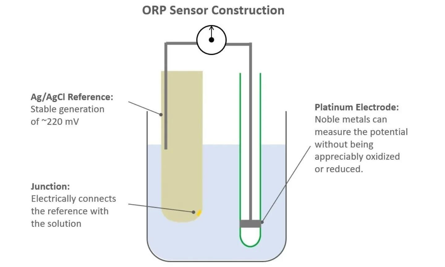 What is Oxidation Reduction Potential and How Do ORP Sensors Work?