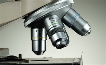 Using CCD Image Sensors in Optical Microscopy