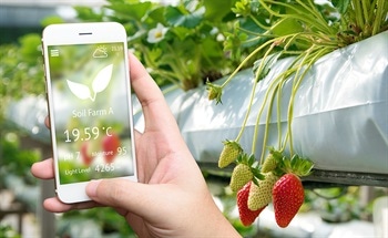Wireless Sensors in the Food & Agriculture Industries