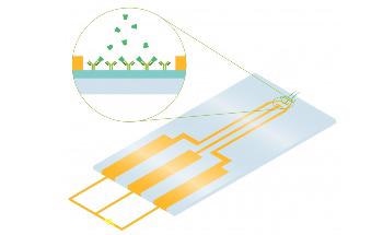 Field Effect Transistor (FET): Chemical and Biosensor Chips