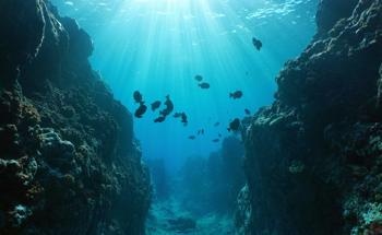 Ocean Exploration with Underwater Acoustic Sensor Networks