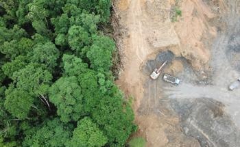 Using LiDAR Technologies to Track Deforestation