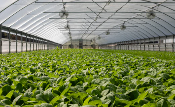 CO2Meter Safety Devices for Indoor Agriculture Grow Facilities