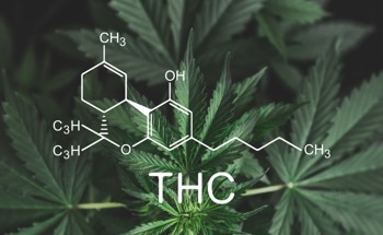 Electrochemical Sensors to Trace THC