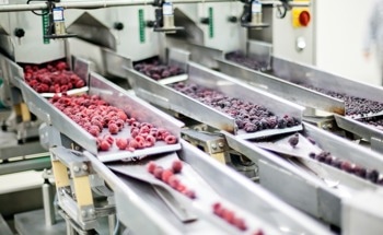 Using pH Sensors in Food Processing and Preservation