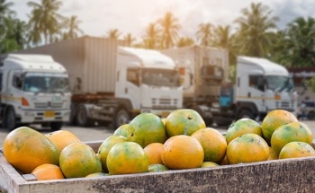 Sensors in Food Logistics: Improving the Supply Chain