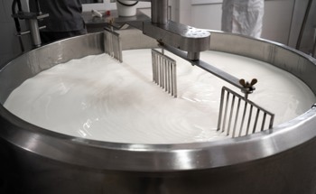 Sensors in Dairy Processing: Ensuring Milk Quality and Safety
