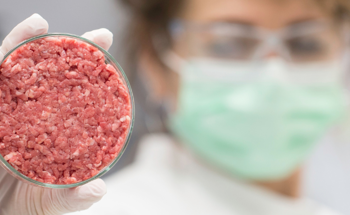 Achieving Cost-Efficient Cultivated Meat Production with Cell Density Sensors