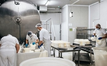 Why is it Important to Monitor Humidity in Cheesemaking?