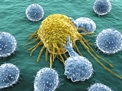 Applying Synthetic Antibodies into Sensor Technology to Monitor Cancer and Diabetes