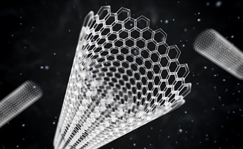 Carbon Nanotube Sensors for the Detection of Noxious Gases