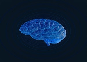 New Optical Nanosensors Improving Brain Mapping Technology