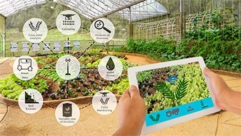 Advancements in Sensor Technology for Agriculture
