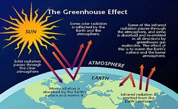 Greenhouse Gases and the Infrared Gas Analyzer