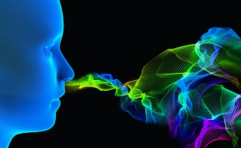 Sensing the Human Body: Olfaction with an Electronic Nose