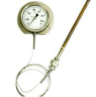 Mercury Filled Thermometer from Yash International