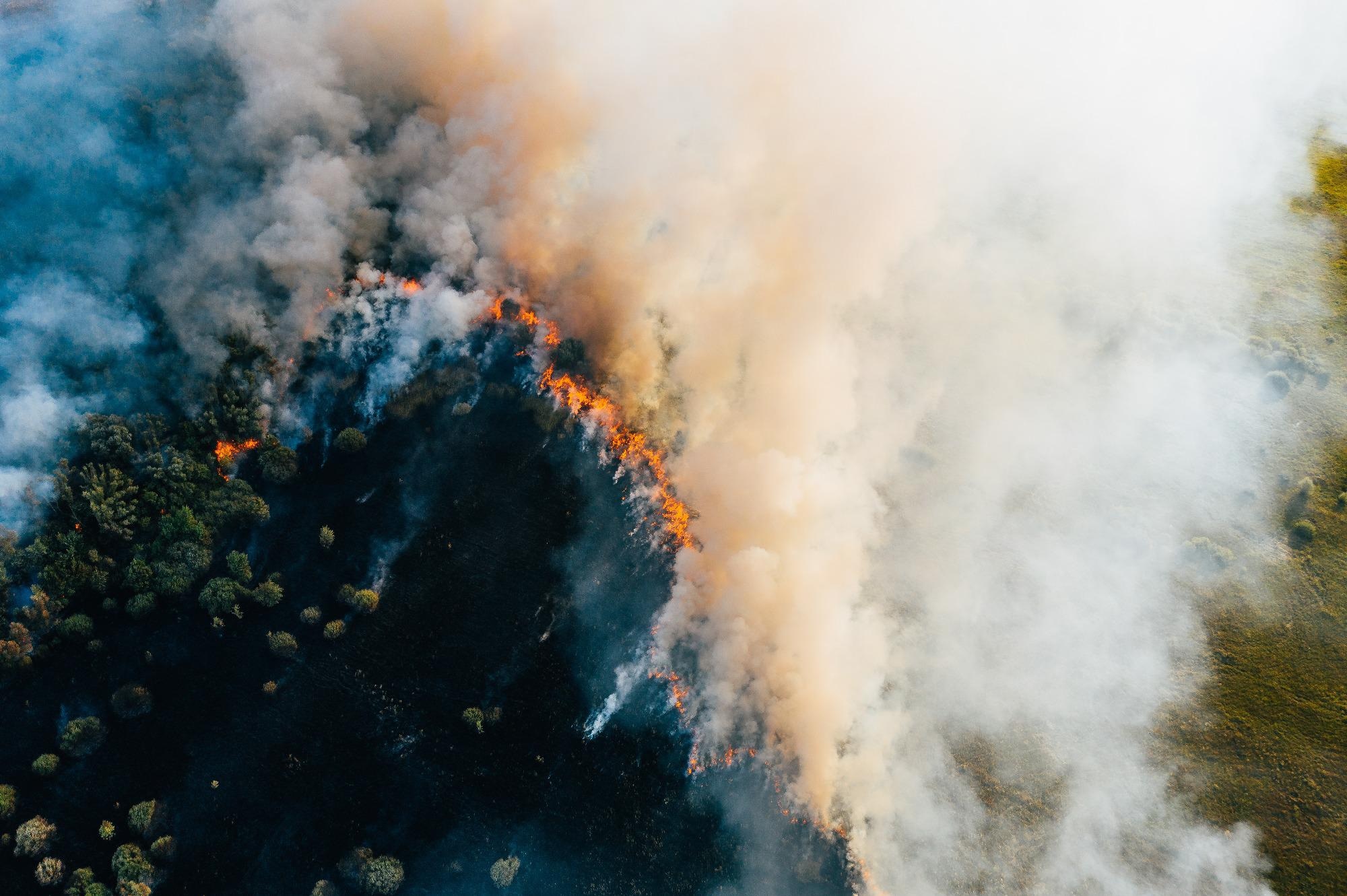 The Role of Drones and Sensors when Monitoring Wildfires