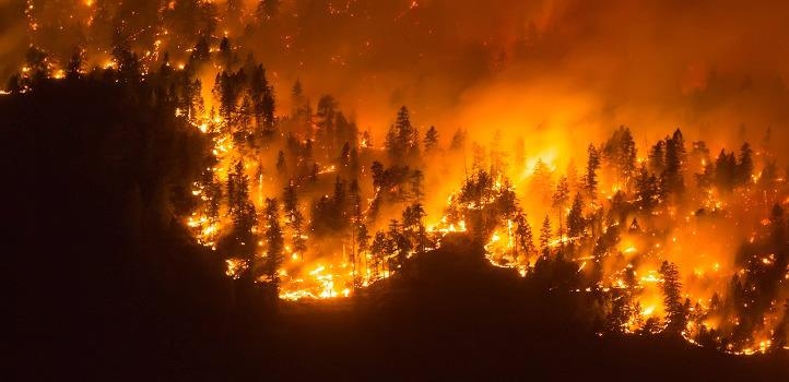 Wireless Sensors and UAVs Could be Ideal to Battle Forest Fires